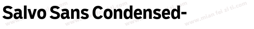 Salvo Sans Condensed字体转换
